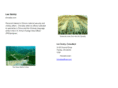 chinafao.com