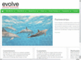 evolve-consulting.net