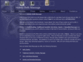 holistic-reiki-massage.com