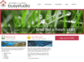 busystudio.com