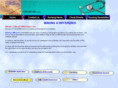 cdistaffing.com
