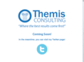 themis-consulting.com