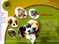 andersonhillsanimalhospital.com