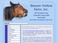 beaverhollowfarm.com