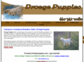 droegepuppies.com