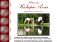 kickapoominis.com