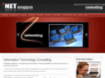 net-noggin.com