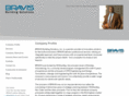 bravisinc.com
