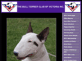 bullterrierclubvic.com