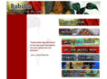 diditrobillo.com