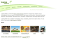 leapingmedia.com