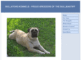 bullatoro.com