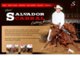 chavacuttinghorses.com