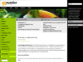 ldbyron10.org