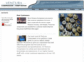 venturacompressor.com