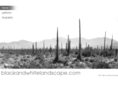 blackandwhitelandscape.com