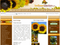 procutorange.com