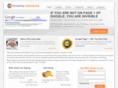 visibilitydelivered.com
