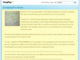 companyp.com