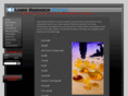 engraveroptics.com