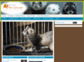 ferretpetcare.com