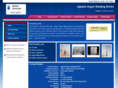 jigneshpharmaequipment.com
