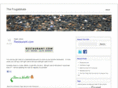thefrugalskate.com