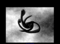 unrealreality.com