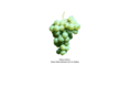 marken-weine.com