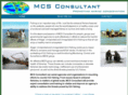 mcsconsultant.com