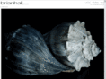 brianhallphoto.com
