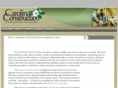 carolinaconstructionofhhi.com