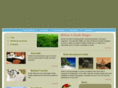 keralapassages.com