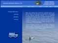 lakeviewadvisors.net