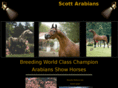 scottarabians.com