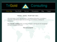 trigoldconsulting.com