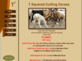 tsquaredcuttinghorses.com