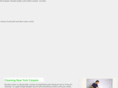 brooklynsteamcarpetcleaning.com