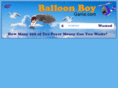 balloonboygame.com