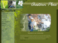 chastainplacecommunity.com