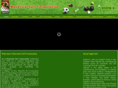 maverickturf.com