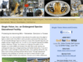 singlevisioninc.com