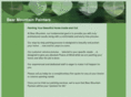 bearmountainpainters.com