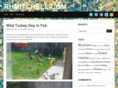 rhmitchell.com