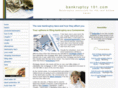 bankruptcy-101.com