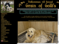 grainofgolds.com