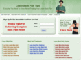 lowerbackpaintips.com