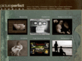 pictureperfectstudios-inc.com