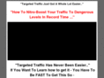 traffic20revealed.com