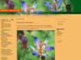 tricyrtis.de